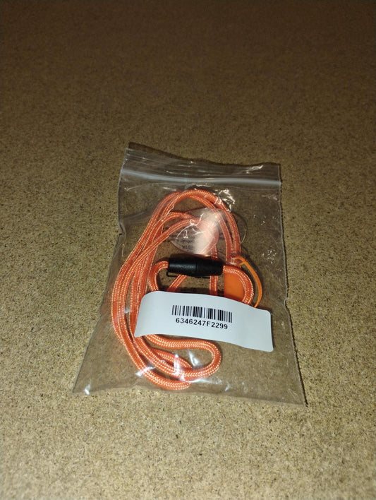 Lanyard